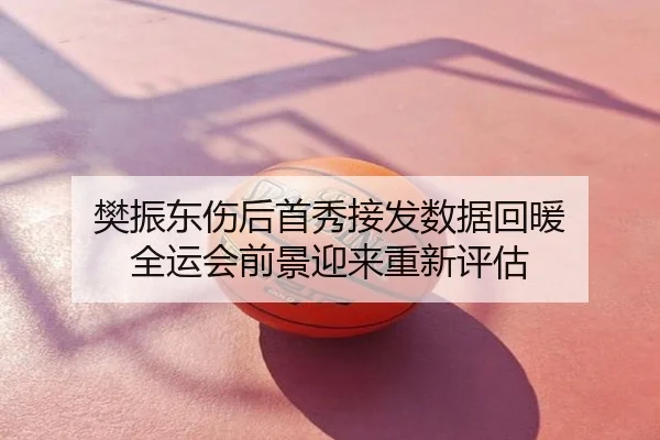 樊振东伤后首秀接发数据回暖 全运会前景迎来重新评估